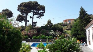 Une piscine entourée d’une végétation luxuriante et d’un grand arbre.