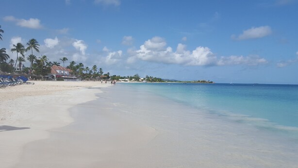 A beach with clear turquoise water, white sand, and palm trees. - Paradise beach front condo with stunning views. (Flexible cancellations) (Antigua and Barbuda)