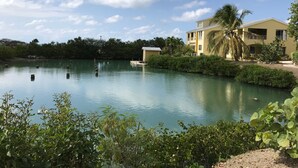 A calm lake with a small dock, surrounded by lush greenery and a yellow building with a balcony. - Paradise beach front condo with stunning views. (Flexible cancellations) (Antigua and Barbuda)