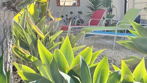 Un’area giardino con piante verdi rigogliose e un muro bianco con una finestra.