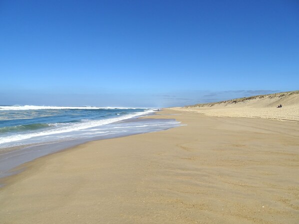 On the beach, sun-loungers