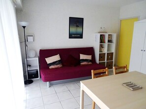 TV, DVD player, books, music library