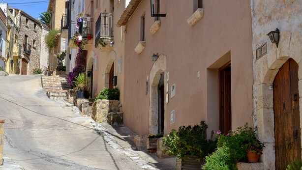 Una calle estrecha flanqueada por edificios tradicionales, escalones de piedra y macetas con plantas.