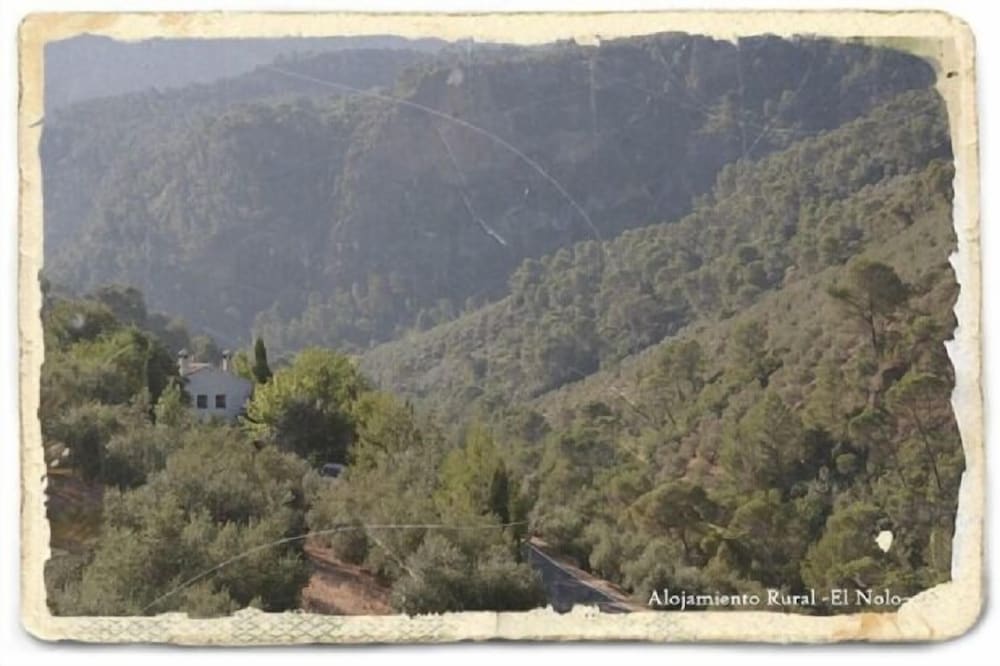 Self catering El Nolo for 14 people