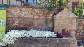 A stone wall with a plaque and a flower bed. - Cottage (full rental) La Cabaña for 10 people (Ibeas de Juarros)