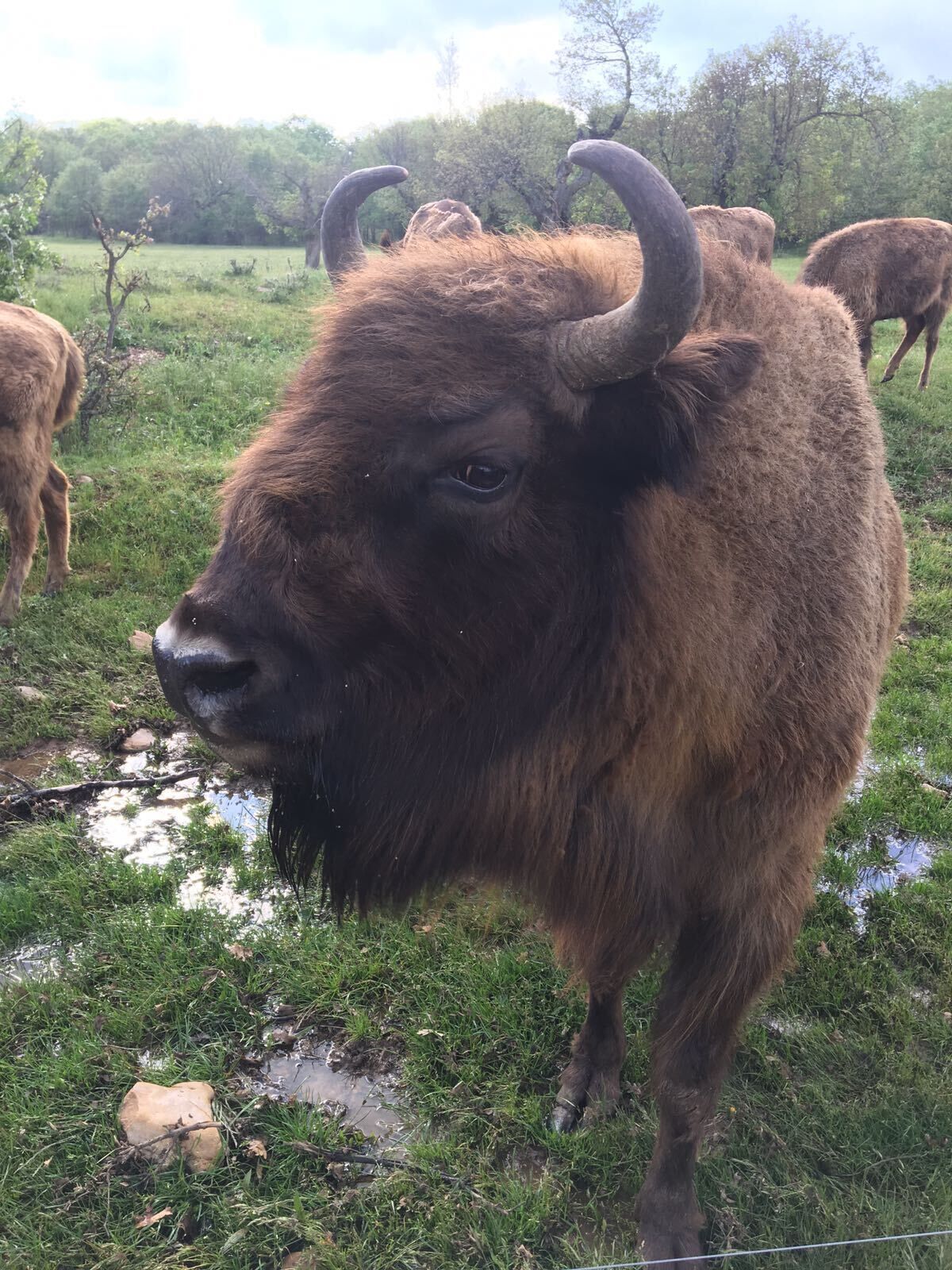 Self catering La Cabaña de Mozoncillo for 10 people