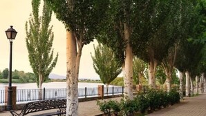 Un sendero adoquinado con bancos, árboles y una farola.