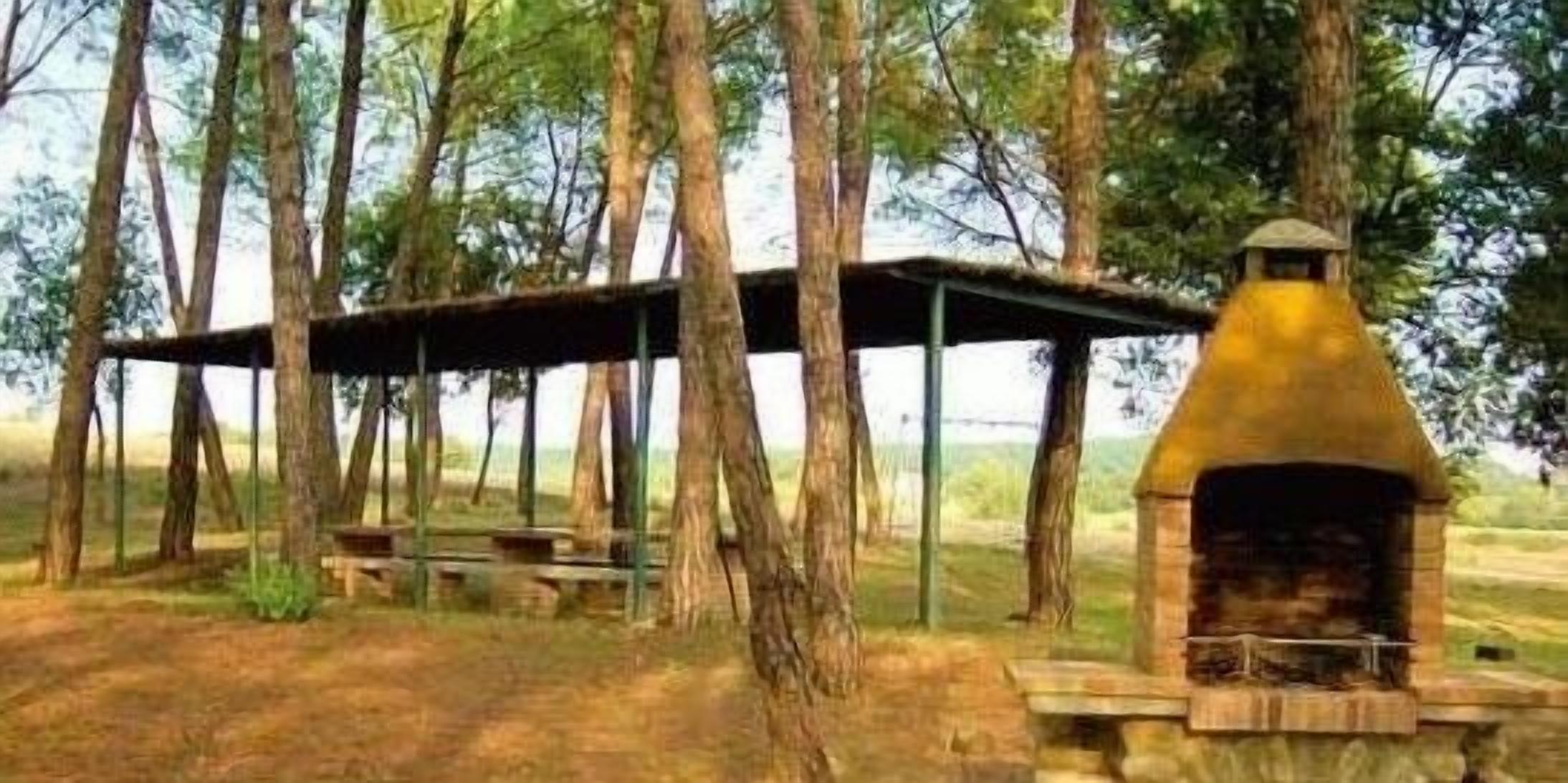 A rustic outdoor structure with a chimney, surrounded by trees.