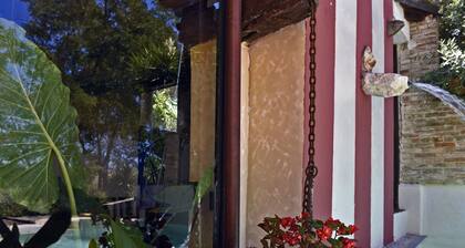 Die limonaia. Historisch, modern und unberührtes Grün.