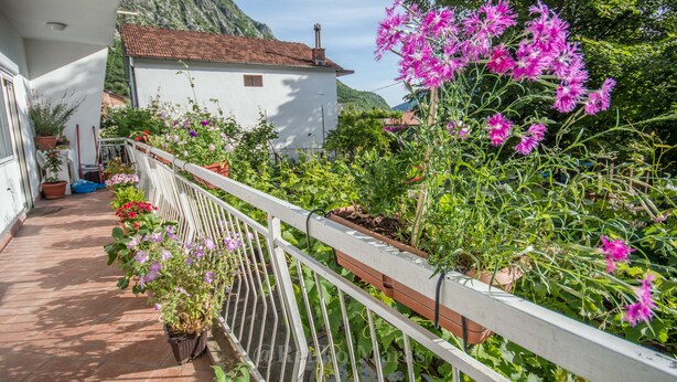 A balcony with potted plants and flowers, a white railing, and a mountain in the background. - Risan Apartment, Boka Bay (Risan)