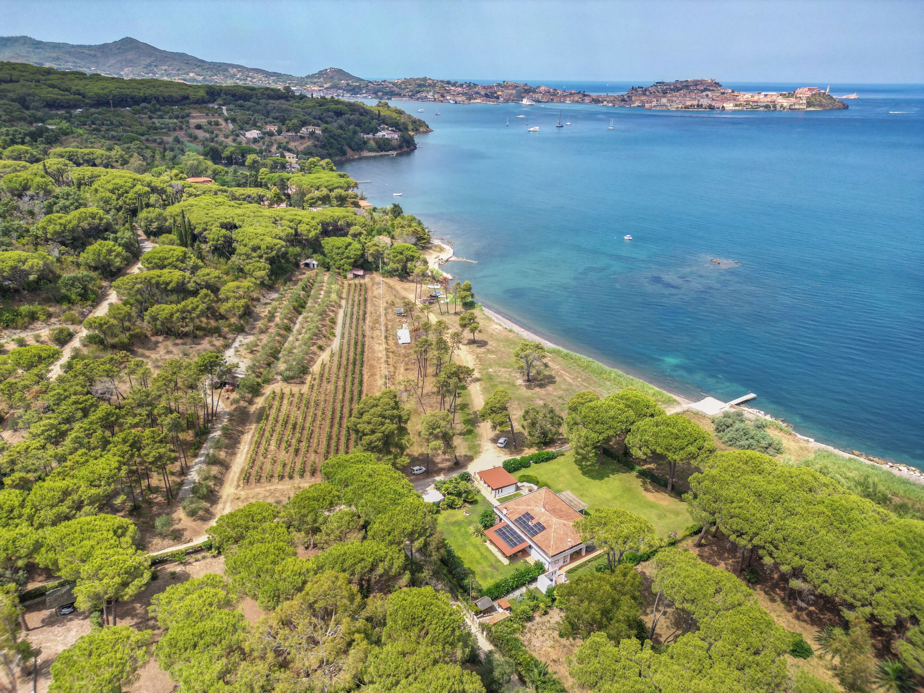 A coastal property with a vineyard, a beach, and a view of the sea.
