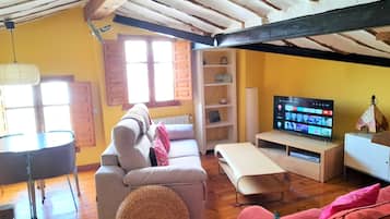 Televisio, takka, DVD-soitin, kirjoja