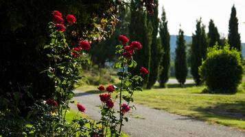 Enceinte de lâhĂ©bergement