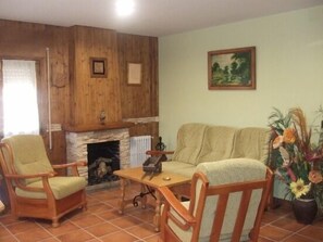 TV, fireplace, DVD player, books