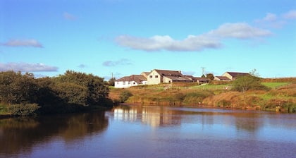 3 Bedroom cottage on Bodmin Moor with views of lakes and moorland
