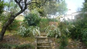 A stone staircase leading up to a building, surrounded by greenery and trees.