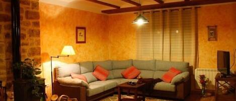 TV, fireplace, DVD player, books