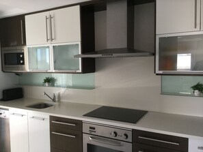 Fridge, microwave, oven, stovetop - Self catering Tudela Mirador de Bardenas for 4 people (Tudela)