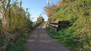 Un sentiero sterrato costeggiato da fitta vegetazione e tronchi di legno.