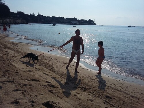 Total Total International