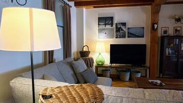 Een televisie, een open haard, een dvd-speler en boeken