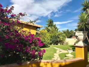 المنطقة المحيطة بالمنشأة