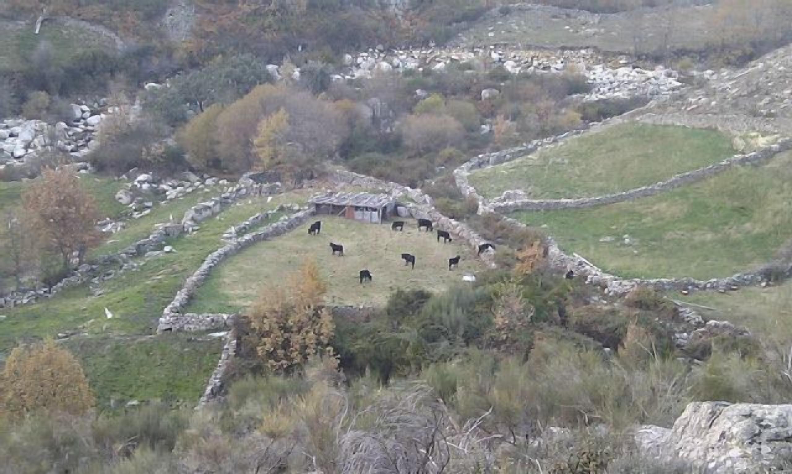 Casa Rural Colmenarejo for 16 people