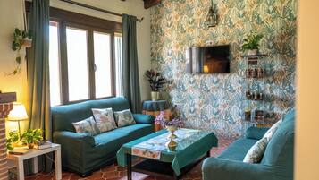 Una Smart TV, una chimenea, un reproductor de DVD, libros