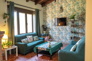 Smart TV, fireplace, DVD player, books