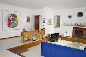 Télévision, cheminée, lecteur de DVD, livres