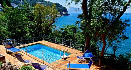 Amazing villa with direct view of the isle of Capri and panoramic terrace