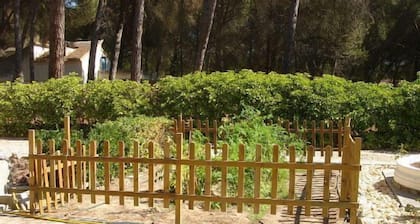 Country house (full rental) Ribera El Duero for 6 people + 2camas suppl.