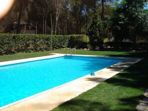 Una piscina rectangular con agua cristalina y azul, rodeada por un césped cuidado y un seto.