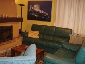 TV, fireplace, DVD player, books
