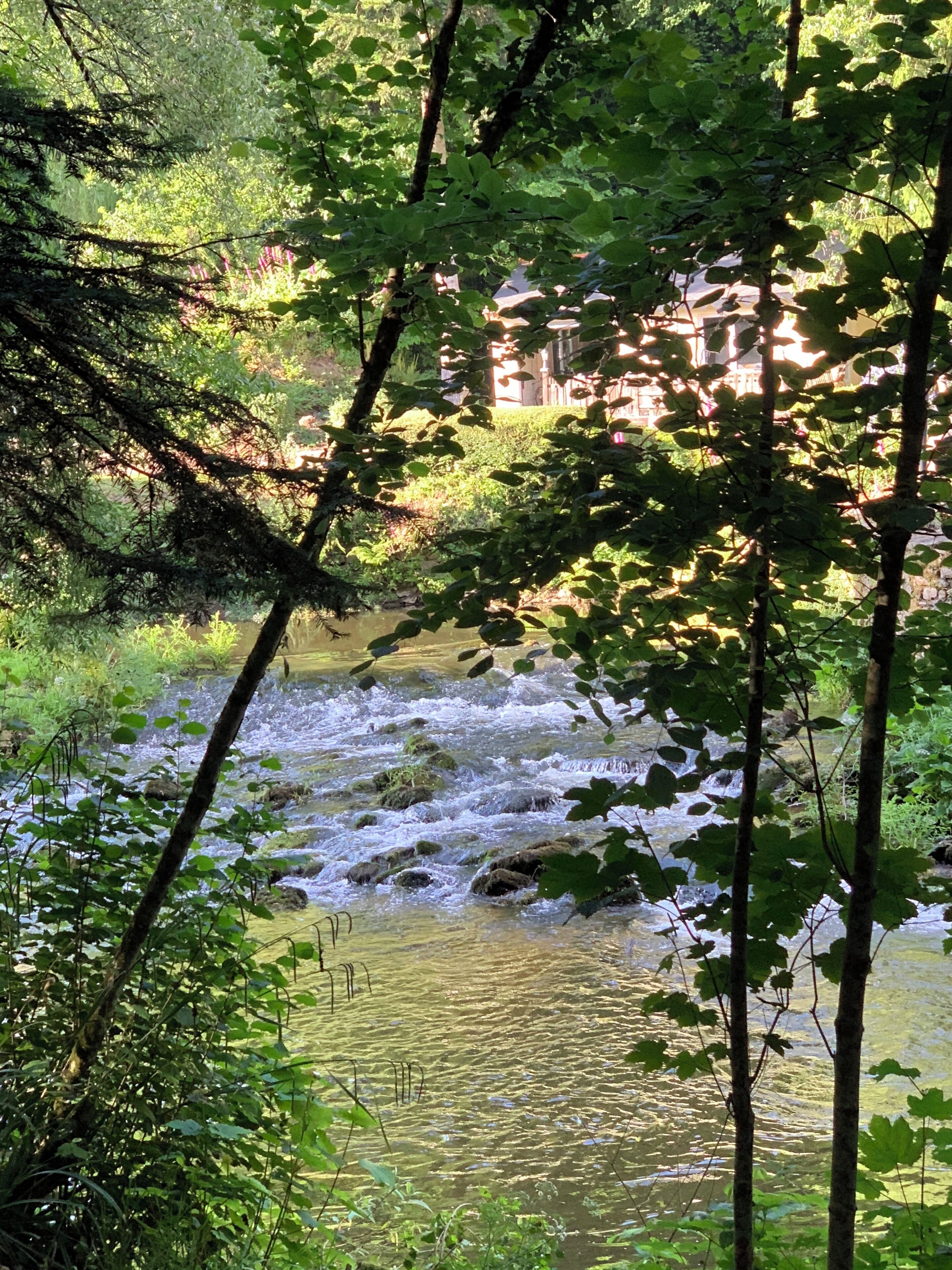 Local beauty spot
