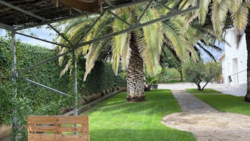 Terassi/patio