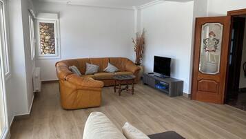 TV, caminetto, lettore DVD, libri