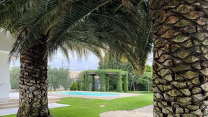 A pool area with stone-topped palm trees, a stone pathway, and a pergola with greenery. - Tranquility, calm and relax. (Olite)