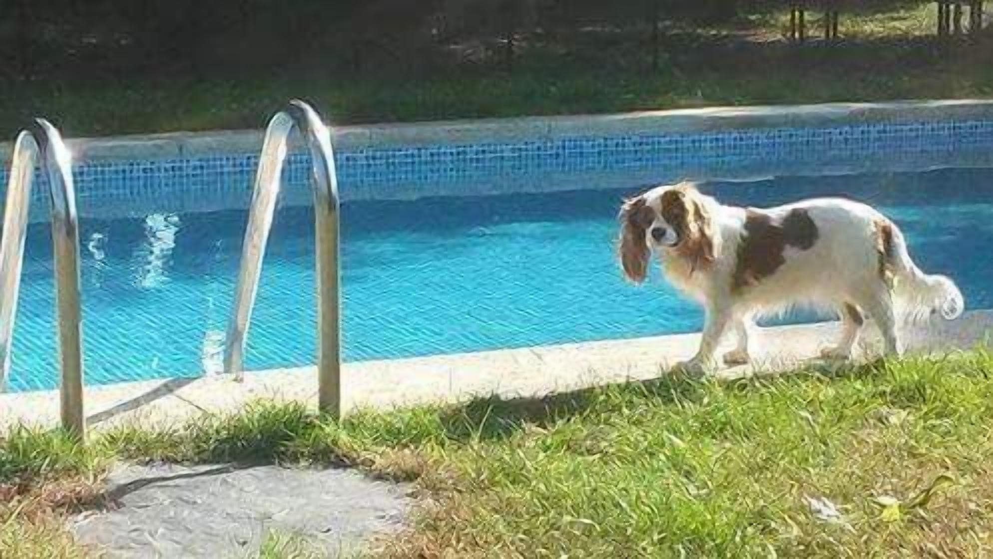 Very spacious and comfortable house and very large garden 16 people