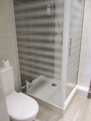 Shower, hair dryer, toilet paper