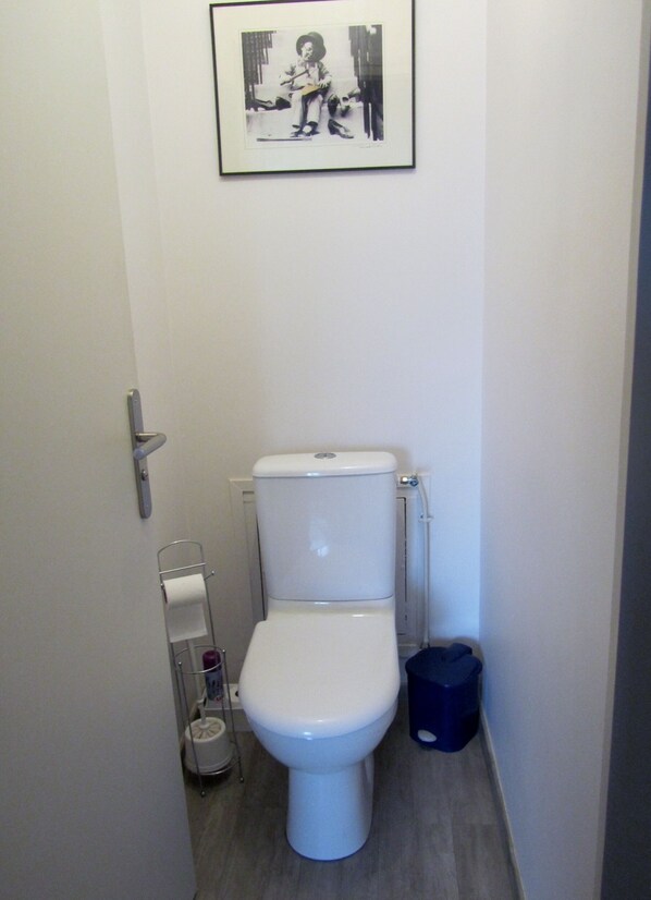 A small, narrow bathroom with a toilet, a roll of toilet paper, and a blue trash bin.