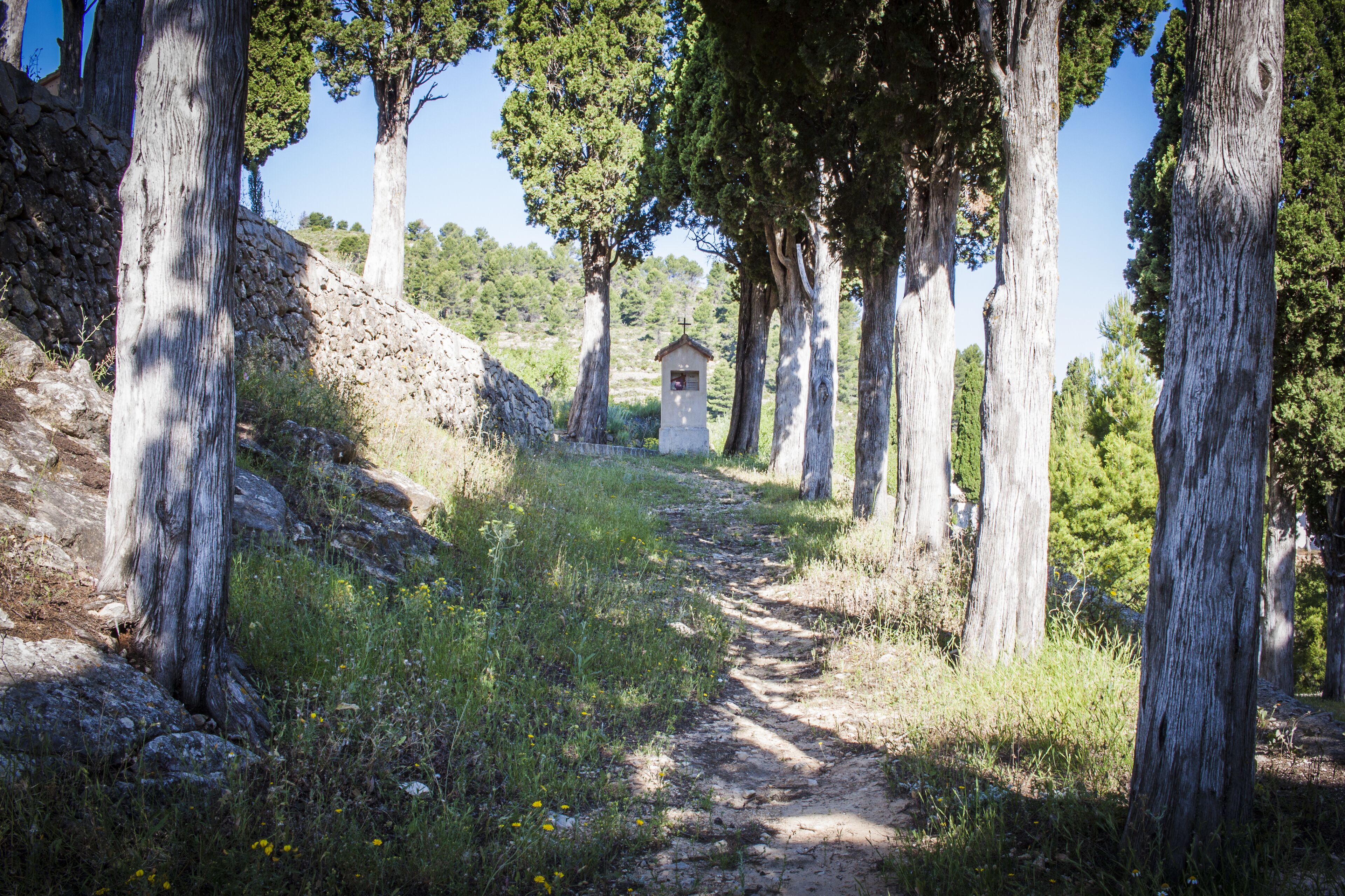 A narrow dirt path flanked by tall trees, leading to a small stone structure.
