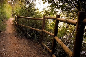 A dirt path with a wooden fence.