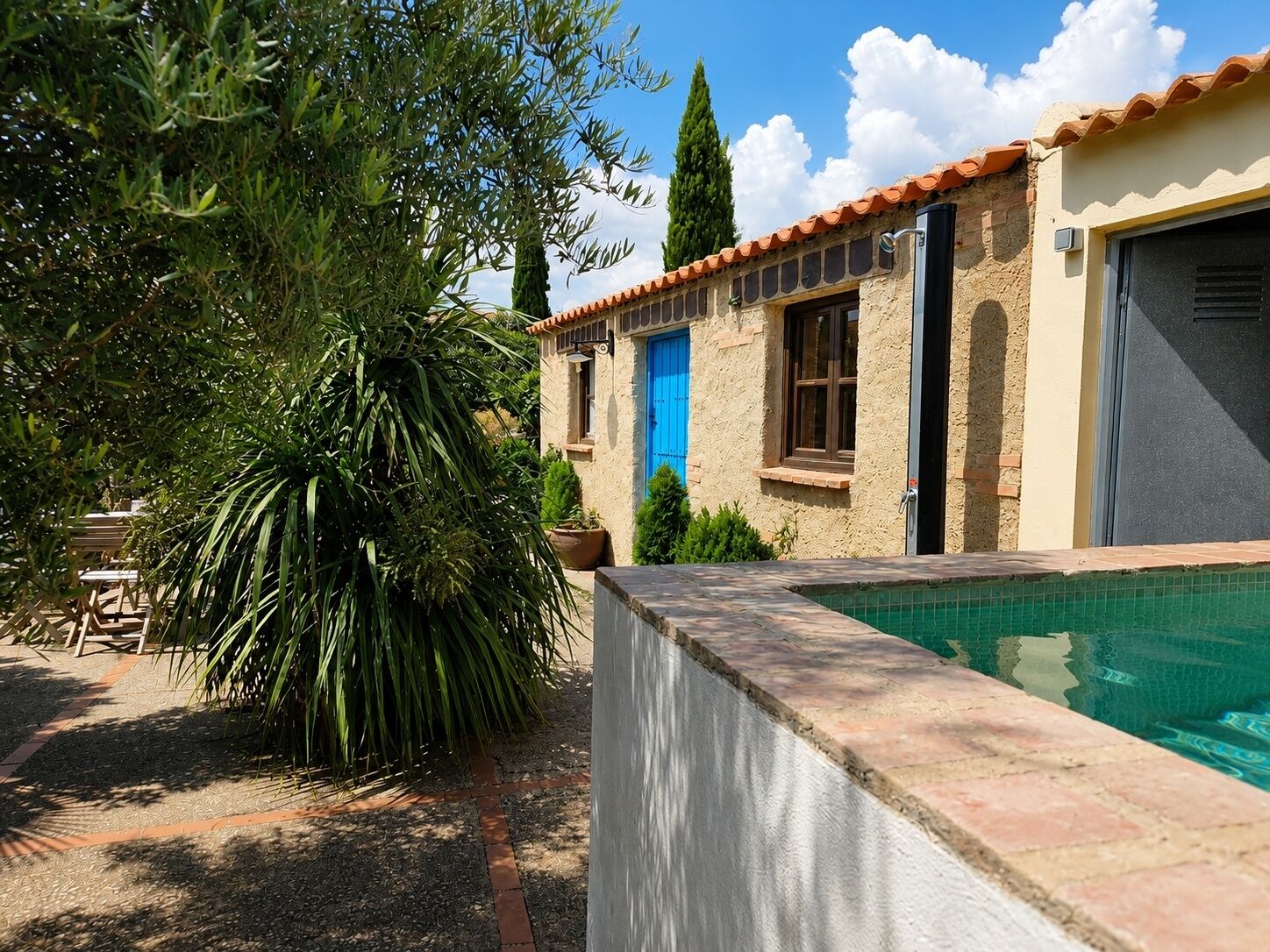 Un área junto a la piscina con un muro de piedra, una puerta azul y una planta en maceta.