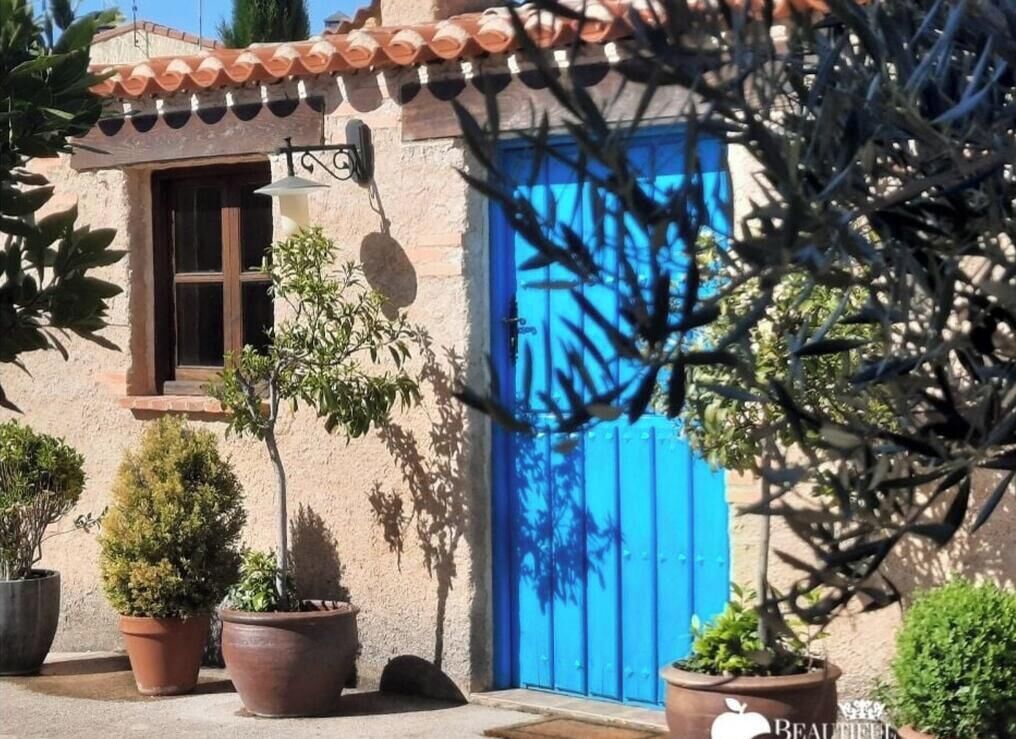 Un edificio con una puerta azul, plantas en macetas y un ventanal.