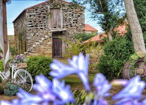 Terrein van de accommodatie