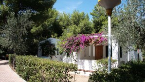 A white building with a wooden door, surrounded by lush greenery and a clear blue sky. - Three-room apartment in Residence - App 2 - with swimming pool near Vieste, Gargano, Puglia (Vieste)