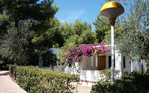 A white building with a wooden door, surrounded by lush greenery and a clear blue sky. - Three-room apartment in Residence - App 2 - with swimming pool near Vieste, Gargano, Puglia (Vieste)