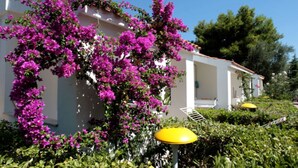 A white building with pink bougainvillea climbing up the walls, surrounded by greenery and yellow umbrellas. - Three-room apartment in Residence - App 2 - with swimming pool near Vieste, Gargano, Puglia (Vieste)