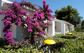 A white building with pink bougainvillea climbing up the walls, surrounded by greenery and yellow umbrellas. - Three-room apartment in Residence - App 2 - with swimming pool near Vieste, Gargano, Puglia (Vieste)